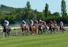 A Guide to Assessing New Bookmaker Sites